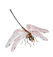 Dragonfly-transparent75left