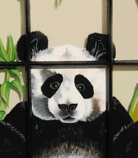 Panda-Detail-Face-2