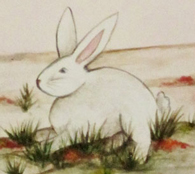 rabbit-painting